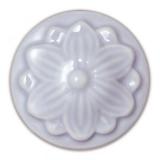 BLS957 Orchid
